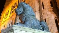 muzeum lev 134364274 10208405626696214 8539361532381227478 o